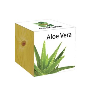 ecocube Aloe Vera - Holzwürfel - Extragoods