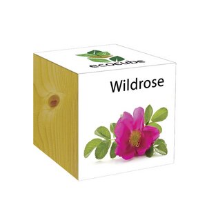 ecocube Wildrose - Holzwürfel - Extragoods