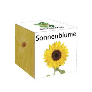 ecocube Sonnenblume - Holzwürfel - Extragoods
