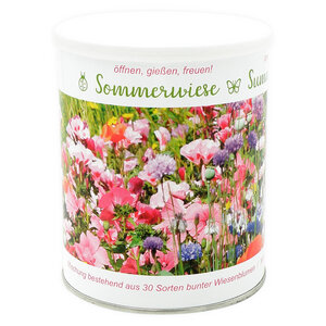 Wildblumenarten - diese Sommerwiese enthält 30 verschiedene Sorten - MacFlowers