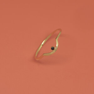 Ring 'black curved' - fejn jewelry