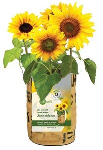 Let it grow - Blumen - Fairtrade Upcycling - SuperWaste