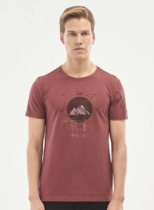 T-Shirt aus Bio-Baumwolle mit Berg-Print - ORGANICATION
