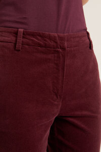 VELVETHOSE aus Bio-Baumwolle - LANIUS