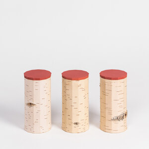 Müslidosen-Set / 3 Vorratsdosen aus Birkenrinde - T13: ø9x17cm - MOYA Birch Bark