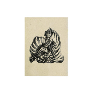 Postkarte Graspapier - "Zebra" - Matabooks