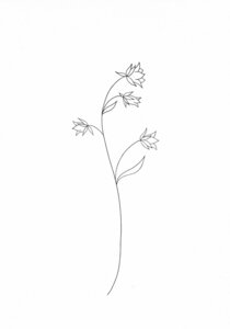 Blumen Druck Glockenblume - STUDIO KARAMELO