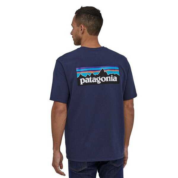 patagonia t shirt on sale