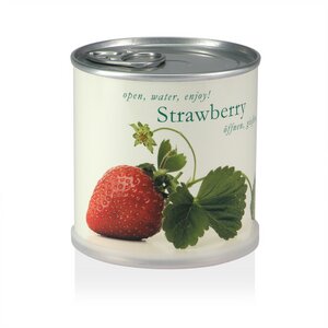 Pflanzen in der Dose - Erdbeere / Strawberry - MacFlowers