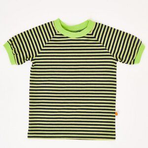 Buben Kurzarm T-Shirt aus Bio-Baumwolle "Lime-Petrol Ringel" - Cheeky Apple