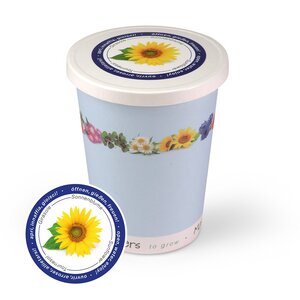 Blumen im Becher TO GROW - Sonnenblume - MacFlowers