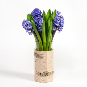 Vase / Blumenvase aus sibirischer Birkenrinde mit Glaseinsatz - MOYA Birch Bark