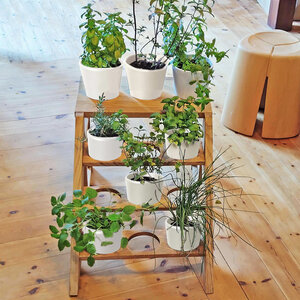 Pflanzen-Treppe Blumen-Regal Holz Kastanie mit passenden Übertöpfen - NATUREHOME