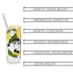 HALM Glasstrohhalme Trinkhalme mit gravierten Sprüchen LUSTIGE STROHHALM NAMEN EDITION 6x 20 cm (gerade) + Reinigungsbürste - HALM
