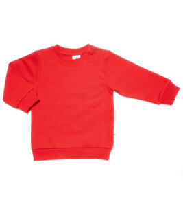 Baby Kinder Sweatshirt Bio-Baumwolle Langarmshirt Pullover 2025 - Leela Cotton