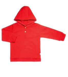 Baby Kinder Kapuzenshirt Bio-Baumwolle Kapuzenpullover Pullover 2024 - Leela Cotton