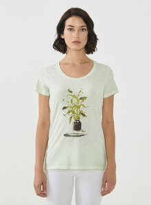 Cold Pigment Dyed T-shirt aus Bio-Baumwolle mit Pflanzen-Print - ORGANICATION