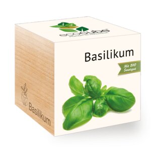 Basilikum im Holzwürfel mit Bio-Samen - "Ecocube" - EcoCube