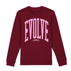 Unisex Sweater – EVOLVE - Qocoon