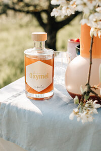 Bio Oxymel – vom Bodensee – 350 ml - little bee fresh