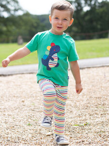 Kite Baby und Kinder T-Shirt Rainbow-Rex reine Bio-Baumwolle - Kite Clothing