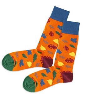 Bunte Socken, Bio Baumwolle - DillySocks