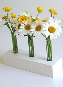 Zeitlos-elegante, dekorative Holzvase "White Spring" - Die Schreiner Christoph Siegel