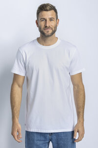 Premium Blank T-Shirt STANDARD - dirts