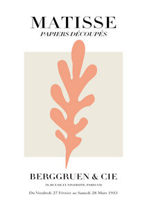 Poster / Leinwandbild - Matisse - Papiers Découpés, rosa botanisches Design - Photocircle
