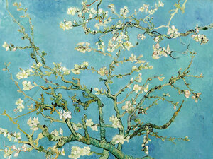 Poster / Leinwandbild - Vincent van Gogh: Mandelblüte - Photocircle