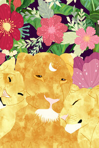 Poster / Leinwandbild - The Lioness - Photocircle