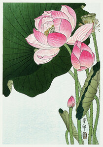 Poster / Leinwandbild - Blühende Lotusblumen von Ohara Koson - Photocircle