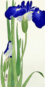 Poster / Leinwandbild - Irisblumen von Ohara Koson - Photocircle