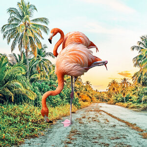 Poster / Leinwandbild - Flamingo Vacay - Photocircle