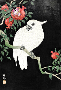 Poster / Leinwandbild - Ohara Koson: Kakadu und Granatapfel - Photocircle