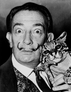 Poster / Leinwandbild - Dalí mit Ozelot-Freund - Photocircle