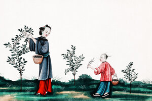 Poster / Leinwandbild - Chinesische Malerei mit Mutter und Sohn, die Teesprossen pflücken - Photocircle