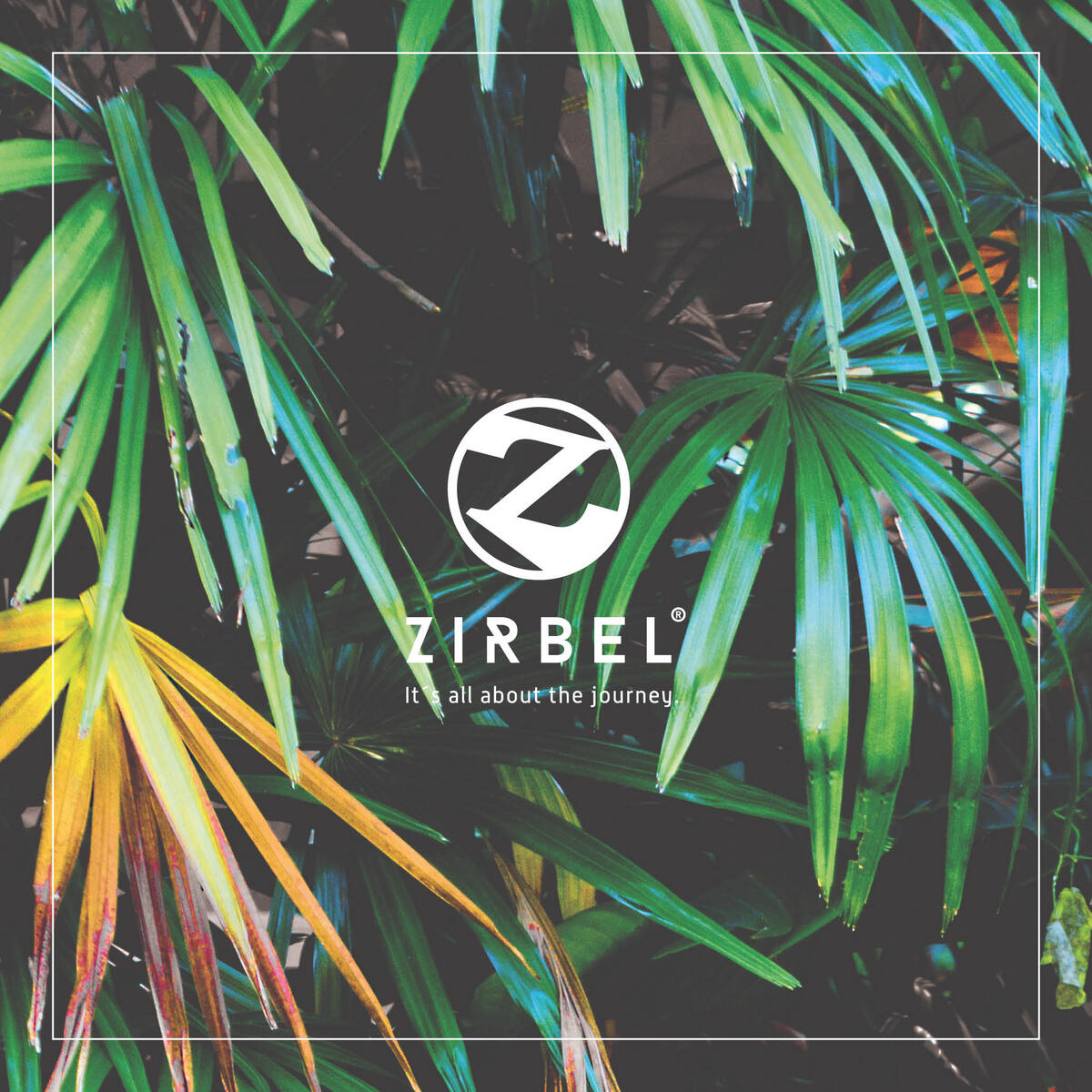 ZIRBEL Zirbel Duffle Black Line Avocadostore