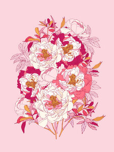 Poster / Leinwandbild - Pink flowers of peonies - Photocircle