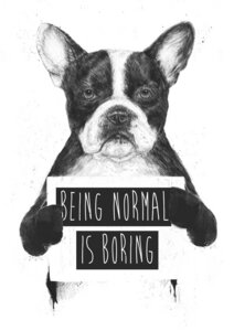 Poster / Leinwandbild - Being normal is boring - Photocircle