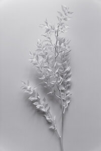 Poster / Leinwandbild - minimal white branch - Photocircle