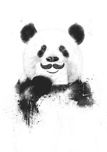 Poster / Leinwandbild - Funny panda - Photocircle