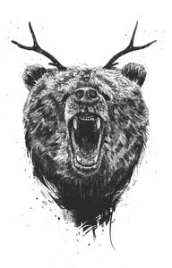 Poster / Leinwandbild - Angry bear with antlers - Photocircle