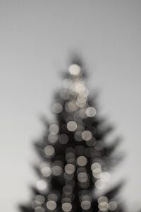 Poster / Leinwandbild - merry merry CHRISTMAS - black & white edition - Photocircle
