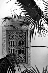 Poster / Leinwandbild - ORIENT palms & garden dreams - black & white edition - Photocircle