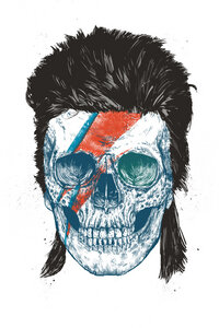 Poster / Leinwandbild - Bowie's skull - Photocircle