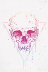 Poster / Leinwandbild - Skull in a triangle - Photocircle