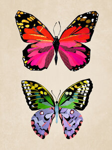Poster / Leinwandbild - Schmetterlinge – Illustration für Kinder - Photocircle
