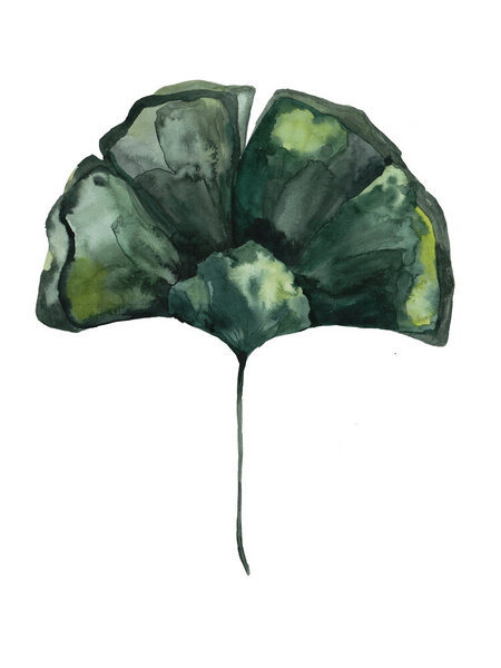 Photocircle - Poster / Leinwandbild - Mantika Botanical Gingko Blatt ...
