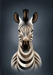 Poster / Leinwandbild - Zebra - Photocircle